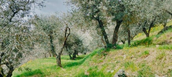 Grundstück in Marone, Italy 3800m², Nr. 277056 10