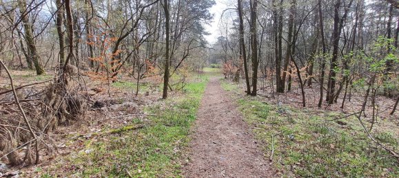 Moradia em banda de 5 divisões em Oder-Spree, Germany N.º 219259 2