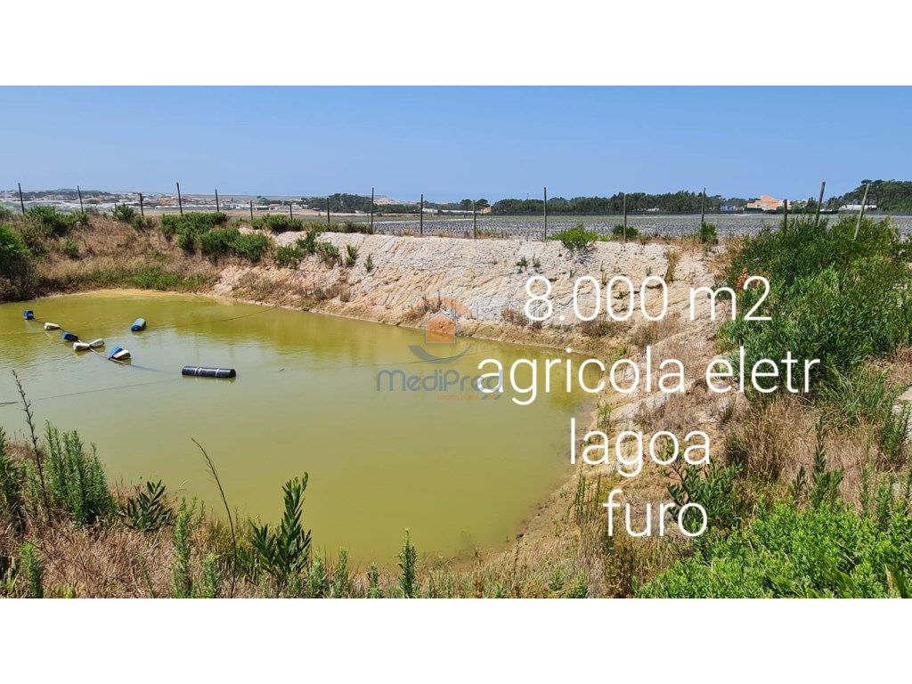 Grundstück in Torres Vedras, Portugal 8000m², Nr. 208320