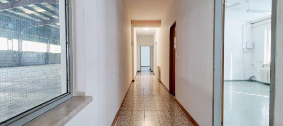 10-Zimmer Büro in Groß-Enzersdorf, Austria, Nr. 144884 13