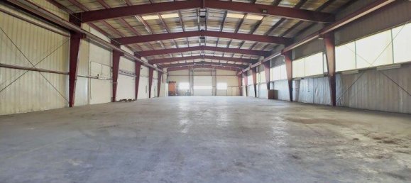 10-Zimmer Büro in Groß-Enzersdorf, Austria, Nr. 144884 4