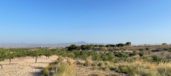 Grundstück in Fuente Alamo, Spain 87000m², Nr. 163720 6