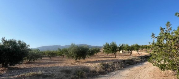 Grundstück in Fuente Alamo, Spain 87000m², Nr. 163720 18