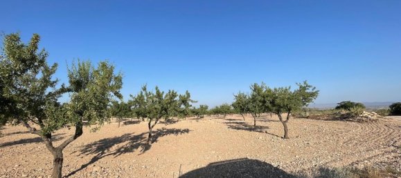 Grundstück in Fuente Alamo, Spain 87000m², Nr. 163720 14