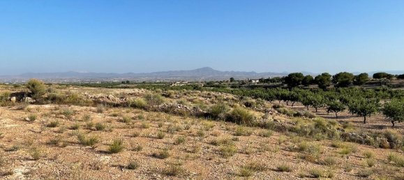 Grundstück in Fuente Alamo, Spain 87000m², Nr. 163720 5