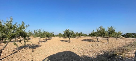 Grundstück in Fuente Alamo, Spain 87000m², Nr. 163720 12