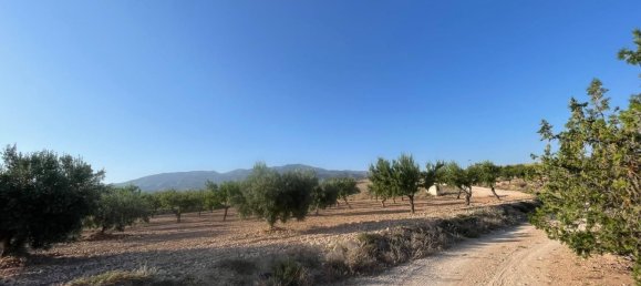 Grundstück in Fuente Alamo, Spain 87000m², Nr. 163720 15