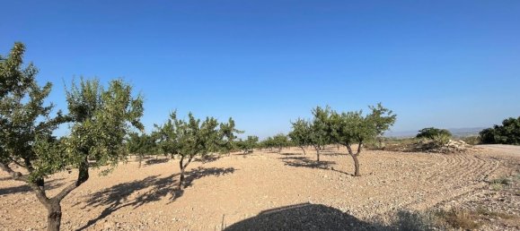 Grundstück in Fuente Alamo, Spain 87000m², Nr. 163720 13