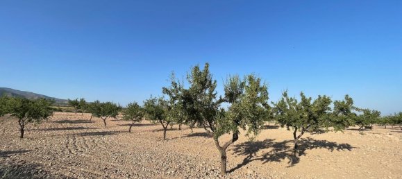 Grundstück in Fuente Alamo, Spain 87000m², Nr. 163720 16