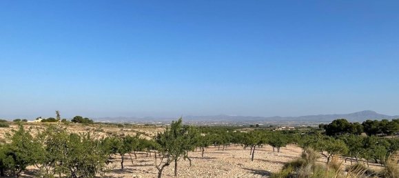 Grundstück in Fuente Alamo, Spain 87000m², Nr. 163720 3