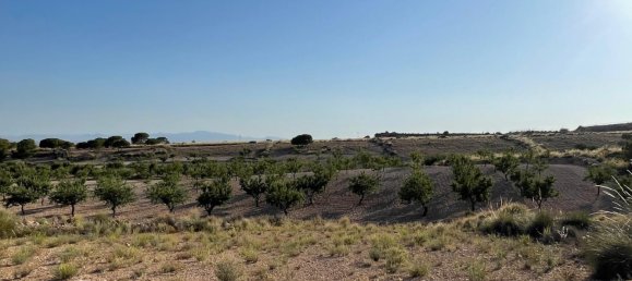 Grundstück in Fuente Alamo, Spain 87000m², Nr. 163720 17