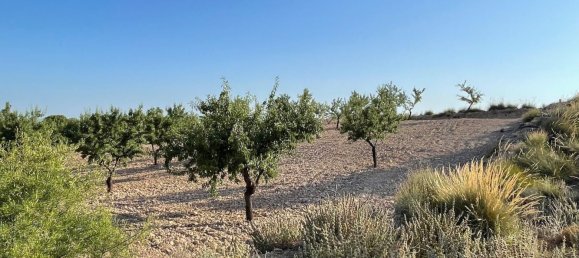 Grundstück in Fuente Alamo, Spain 87000m², Nr. 163720 2