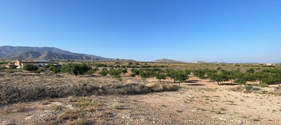 Grundstück in Fuente Alamo, Spain 87000m², Nr. 163720 11