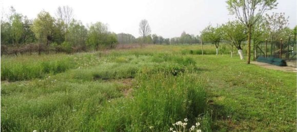 6-salle Appartement à Santa Maria di Sala, Italy No. 213521 16