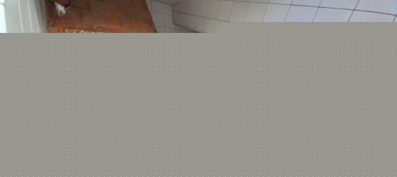 3 غرف نوم شقة في Costa da Caparica, Portugal رقم 30464 27