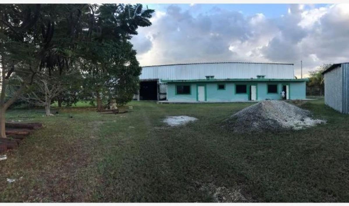  Land in Merida, Mexico No. 118193