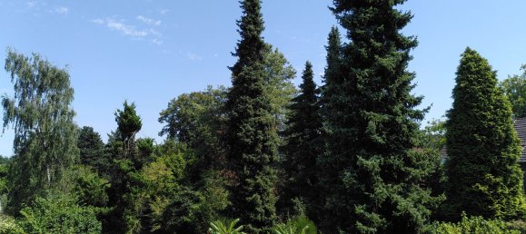 4 bedrooms Townhouse in Krefeld, Germany No. 217674 29