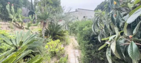 Terreno em Lloret de Mar, Spain N.º 187333 13