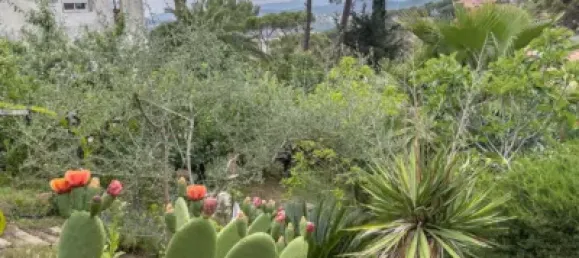 Terreno em Lloret de Mar, Spain N.º 187333 6