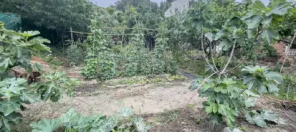 Terreno em Lloret de Mar, Spain N.º 187333 4