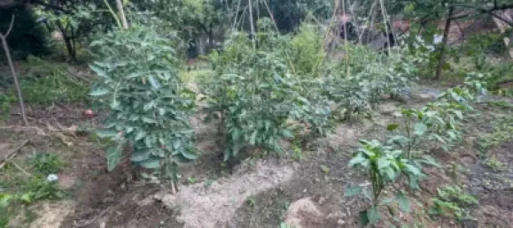 Terreno em Lloret de Mar, Spain N.º 187333 15