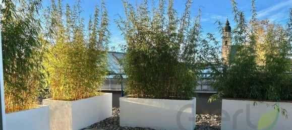 2 bedrooms Apartment in Seekirchen am Wallersee, Austria No. 182994 3