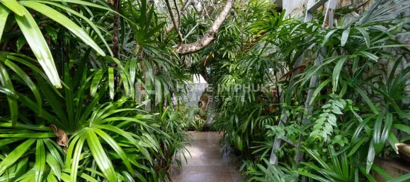 3 dormitorios сasa en venta en Rawai, Phuket, Southern Thailand, Thailand № 61026 15