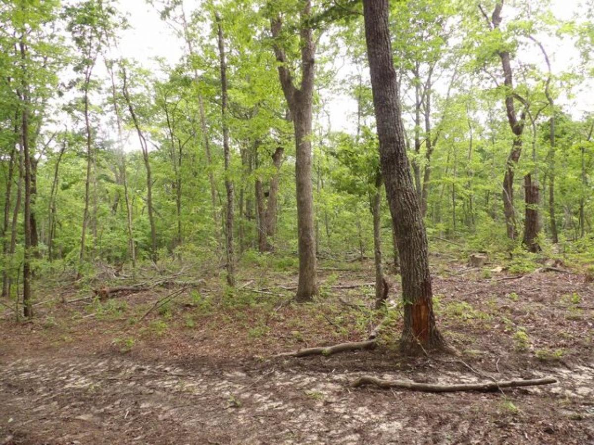  Land in Crossville, USA No. 528689