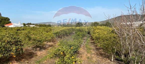 Grundstück in Faro, Portugal 17040m², Nr. 39884 7