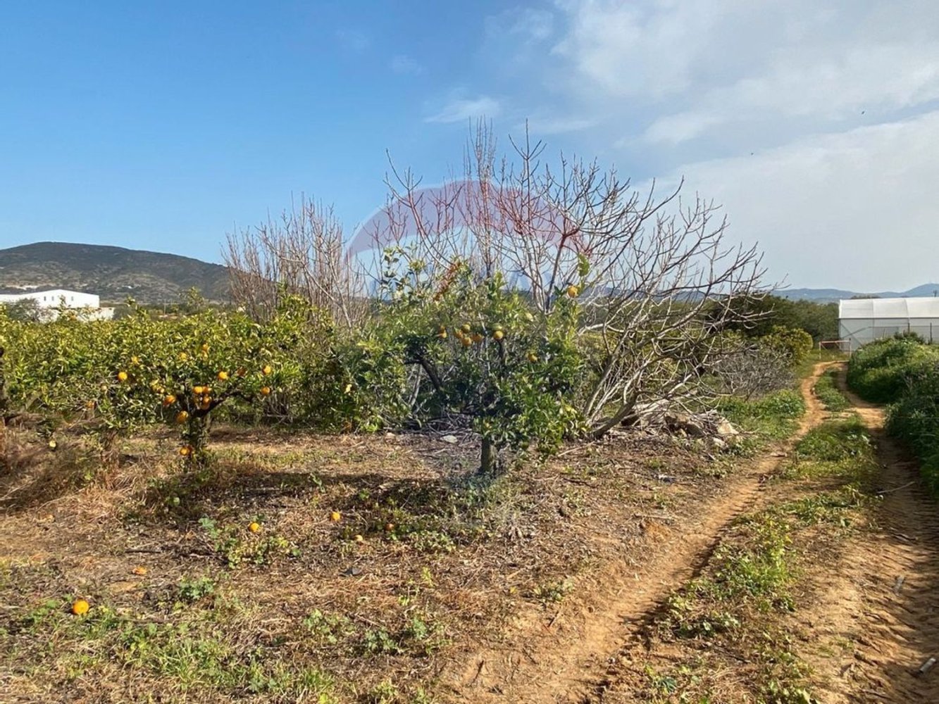 Grundstück in Faro, Portugal 17040m², Nr. 39884
