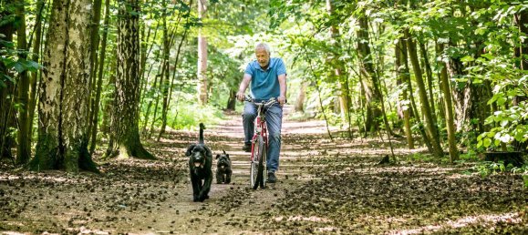 Таунхаус с 3 спальнями в Груневальд, Германия № 371992 12