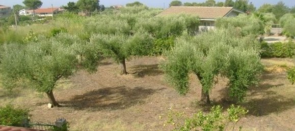 7-salle Villa à Ricadi, Italy No. 113626 13