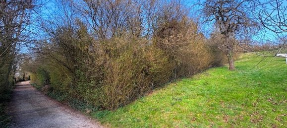 Terreno em Baden-Wurttemberg, Germany 2353 m² N.º 85302 12