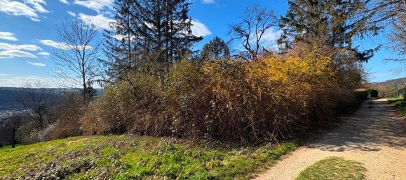 Terreno em Baden-Wurttemberg, Germany 2353 m² N.º 85302 2