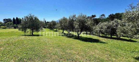 Вилла с 6 спальнями в Лукка, Италия № 115800 7