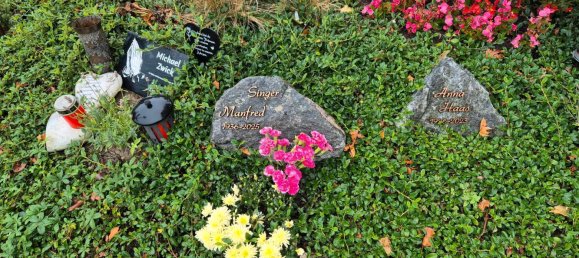  قطعة أرض في Ortenaukreis, Germany رقم 357979 2