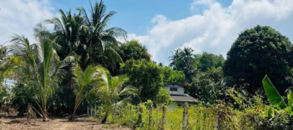  Land in Ko Samui, Thailand No. 69388 6