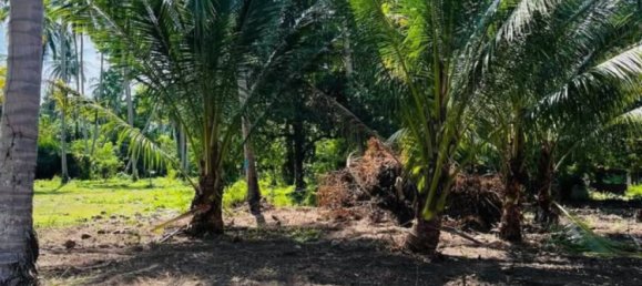  Land in Ko Samui, Thailand No. 69388 2