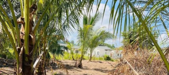  Land in Ko Samui, Thailand No. 69388 3