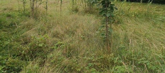 Terrain à Bad Tatzmannsdorf, Austria 1329m² No. 145148 6