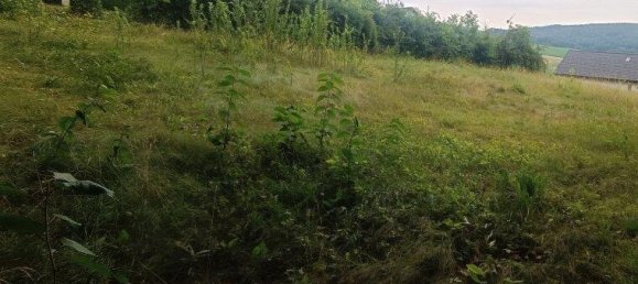 Terrain à Bad Tatzmannsdorf, Austria 1329m² No. 145148 5