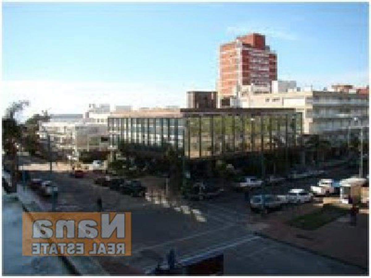 Studio à Maldonado, Uruguay No. 7488