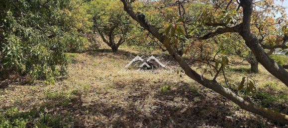  Land in Frigiliana, Spain No. 164623 14