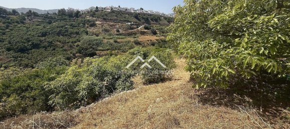  Land in Frigiliana, Spain No. 164623 12