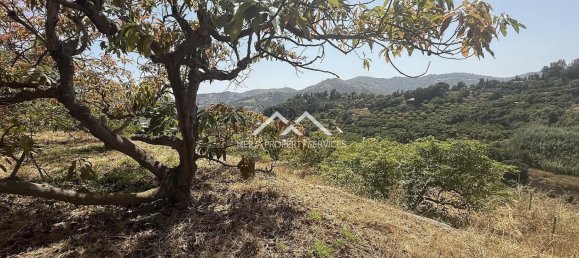  Land in Frigiliana, Spain No. 164623 15