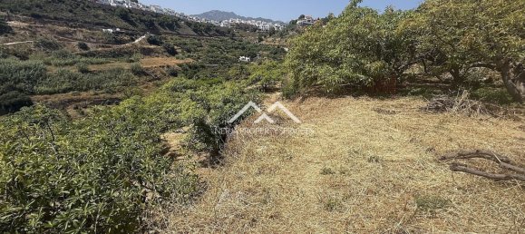  Land in Frigiliana, Spain No. 164623 10