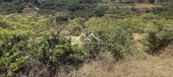  Land in Frigiliana, Spain No. 164623 13