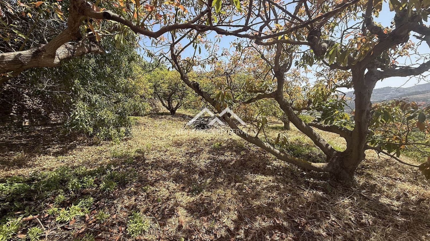  Land in Frigiliana, Spain No. 164623