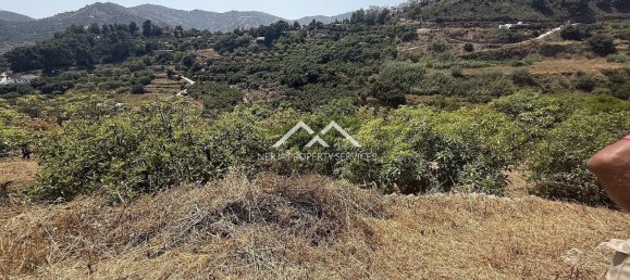  Land in Frigiliana, Spain No. 164623 9