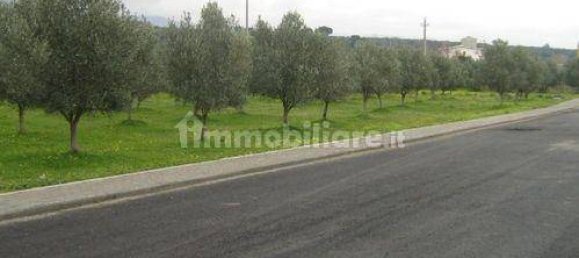 986m² Land in Gizzeria, Italy No. 70006 6